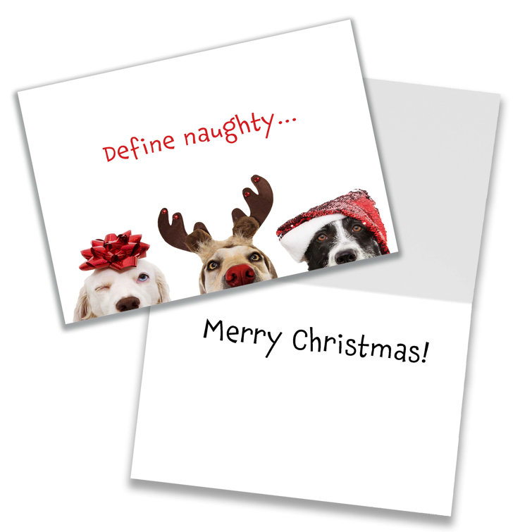 The Holiday Aisle® 20 Piece Cute Dog Christmas Card Set Wayfair Canada
